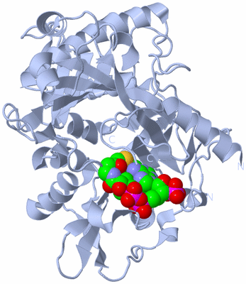 Image Biological Unit 1