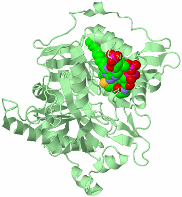 Image Biological Unit 2