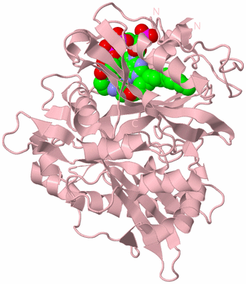 Image Biological Unit 3