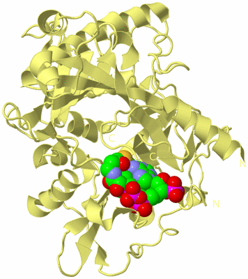 Image Biological Unit 4