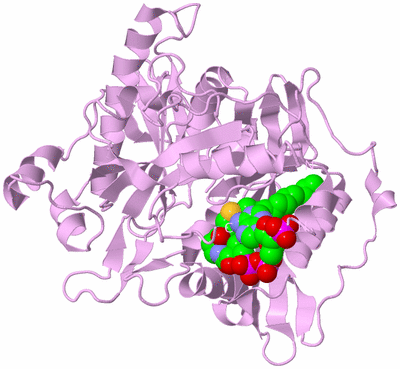 Image Biological Unit 5