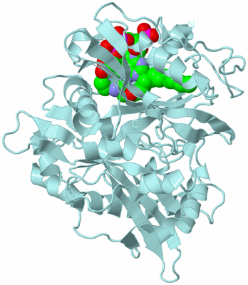 Image Biological Unit 6