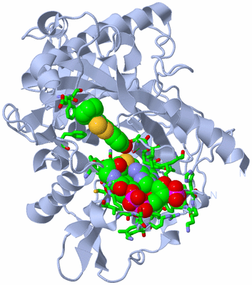 Image Biol. Unit 1 - sites