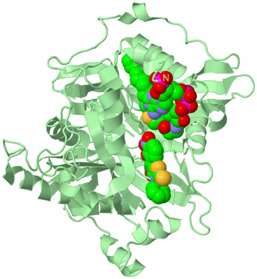 Image Biological Unit 2