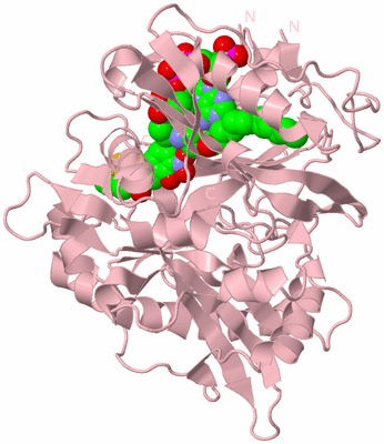 Image Biological Unit 3