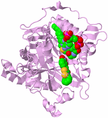 Image Biological Unit 5