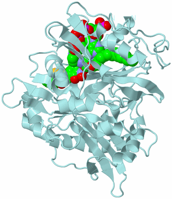 Image Biological Unit 6