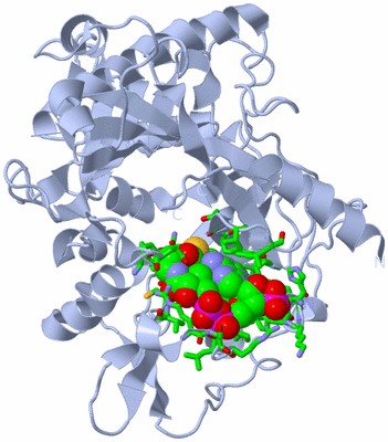 Image Biol. Unit 1 - sites