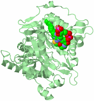 Image Biological Unit 2