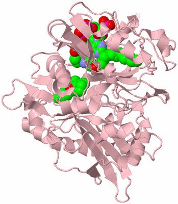 Image Biological Unit 3