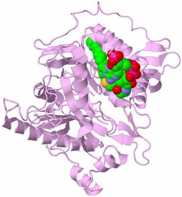 Image Biological Unit 5