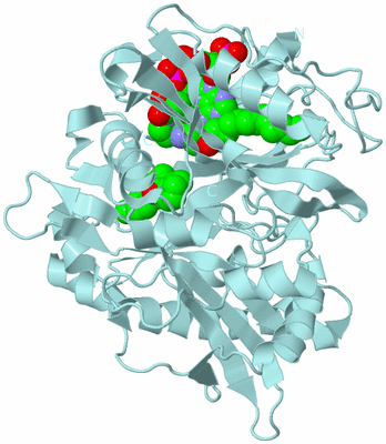 Image Biological Unit 6