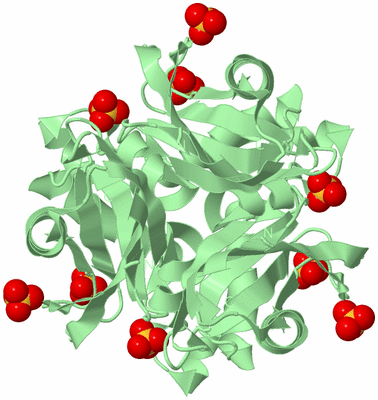 Image Biological Unit 3