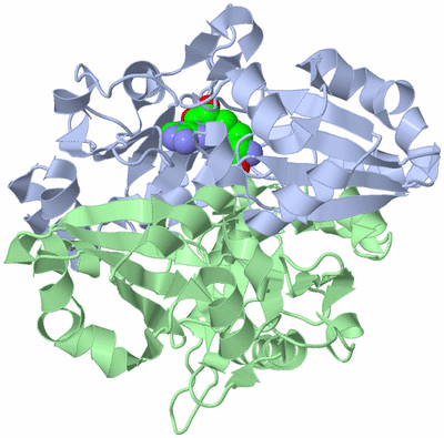 Image Asym./Biol. Unit