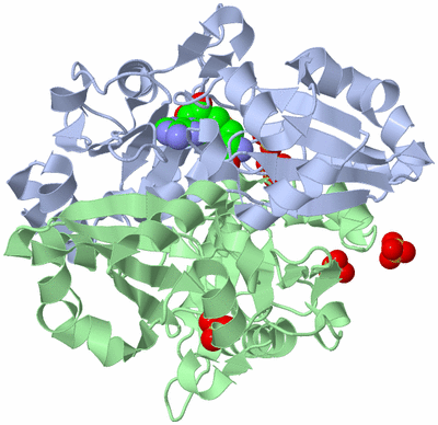 Image Asym./Biol. Unit