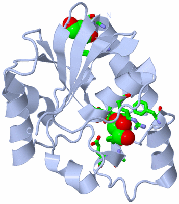 Image Biol. Unit 1 - sites