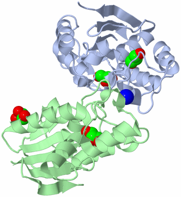 Image Biological Unit 3