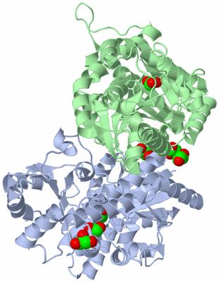 Image Asym./Biol. Unit