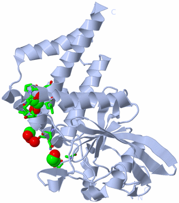 Image Biol. Unit 1 - sites