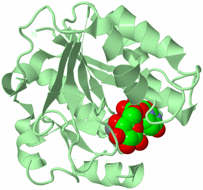 Image Biological Unit 2