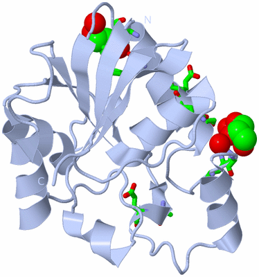 Image Biol. Unit 1 - sites