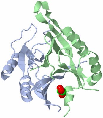 Image Biological Unit 1