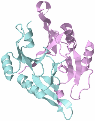 Image Biological Unit 3