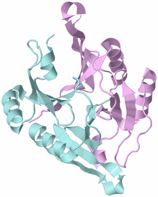 Image Biological Unit 3