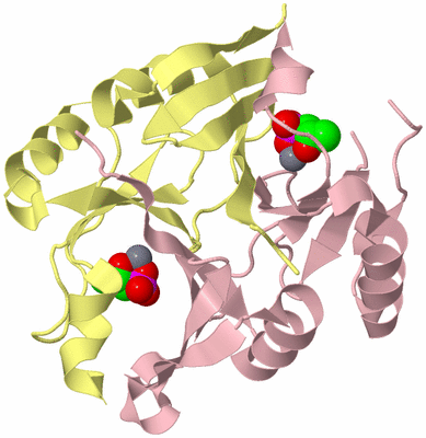 Image Biological Unit 2