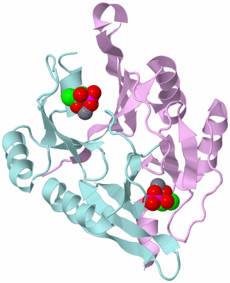 Image Biological Unit 3