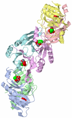 Image Biological Unit 4