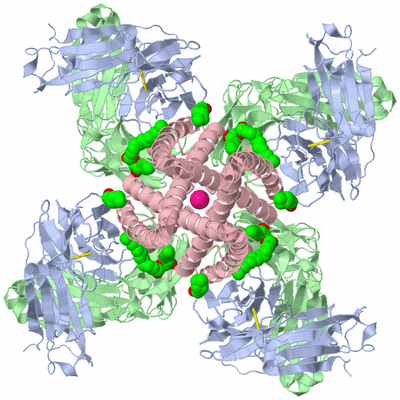 Image Biological Unit 3