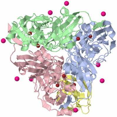 Image NMR Structure - model 1