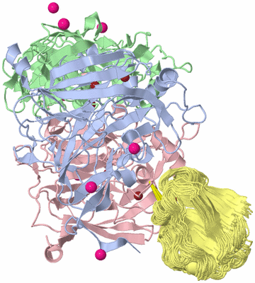 Image NMR Structure - all models