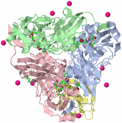 Image NMR Structure - model 1, sites