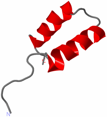 Image NMR Structure - model 1