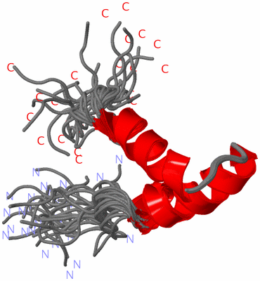 Image NMR Structure - all models