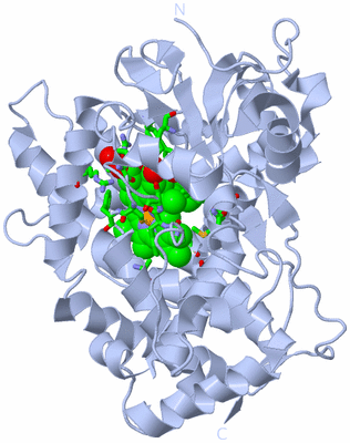 Image Biol. Unit 1 - sites