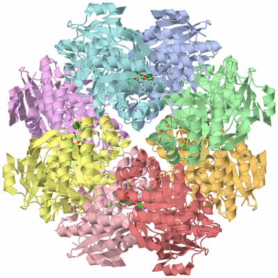 Image Asym./Biol. Unit - sites