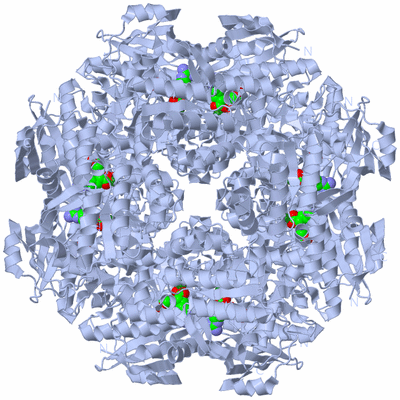 Image Biological Unit 1