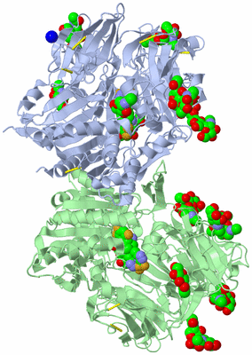 Image Asym./Biol. Unit