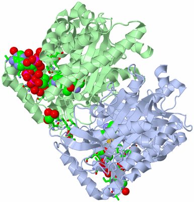 Image Asym./Biol. Unit - sites