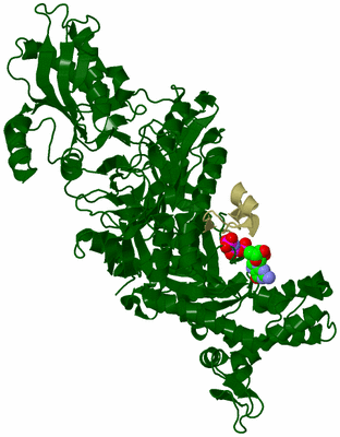 Image Asym./Biol. Unit