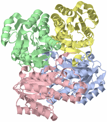 Image Asym./Biol. Unit