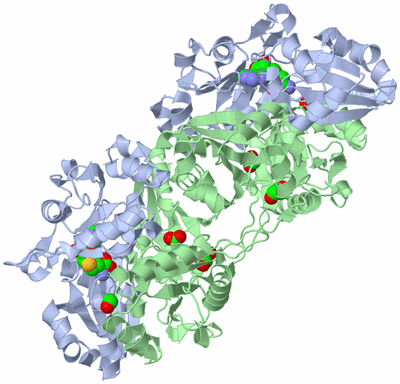 Image Biological Unit 2