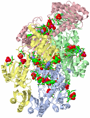 Image Asym./Biol. Unit - sites