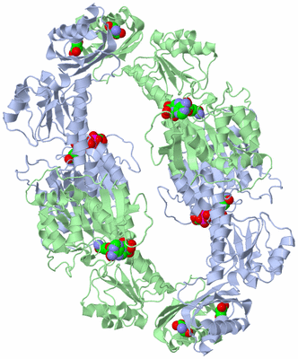 Image Biological Unit 1