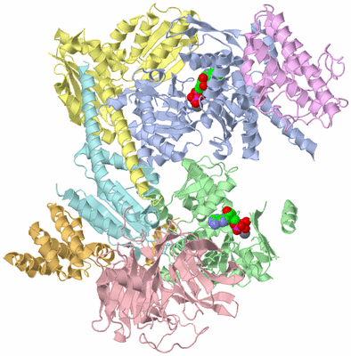 Image Asym./Biol. Unit