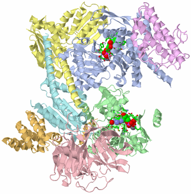 Image Asym./Biol. Unit - sites