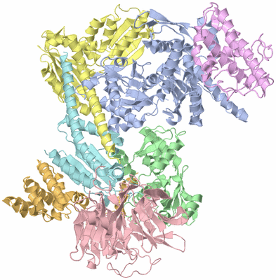 Image Asym./Biol. Unit